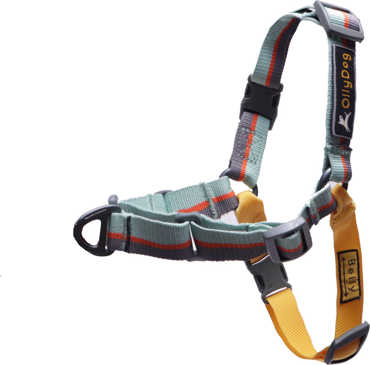 Essential Harness Surf