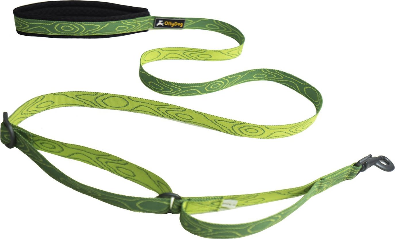 OllyDog Flagstaff Adjustable Leash  Sage Bark