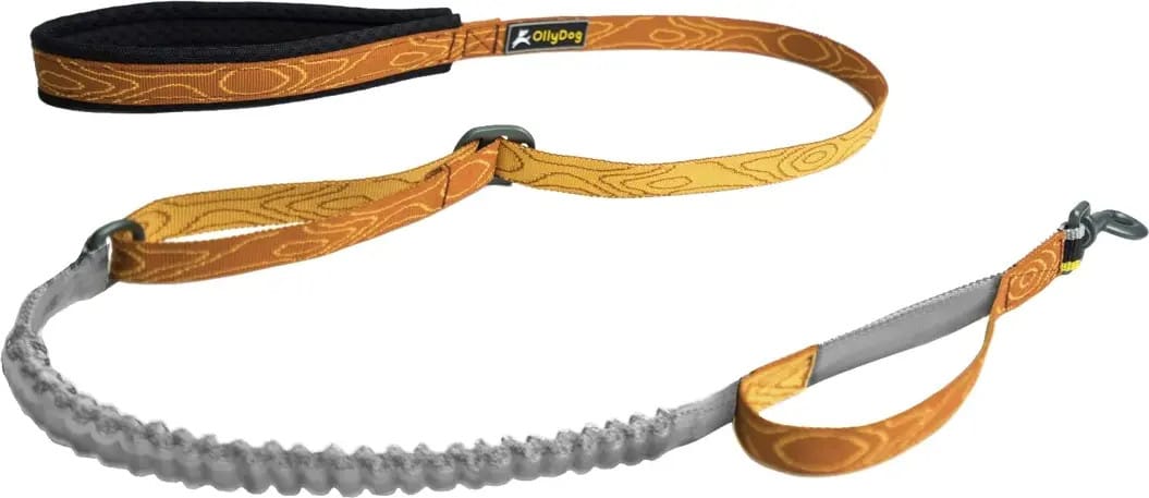 OllyDog Flagstaff Adjustable Spring Leash Blaze Bark