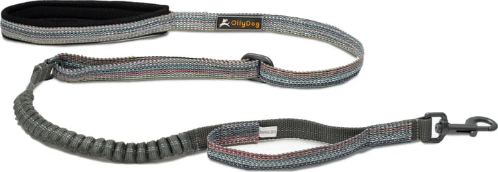 Flagstaff Adjustable Spring Leash 009 OllyDog