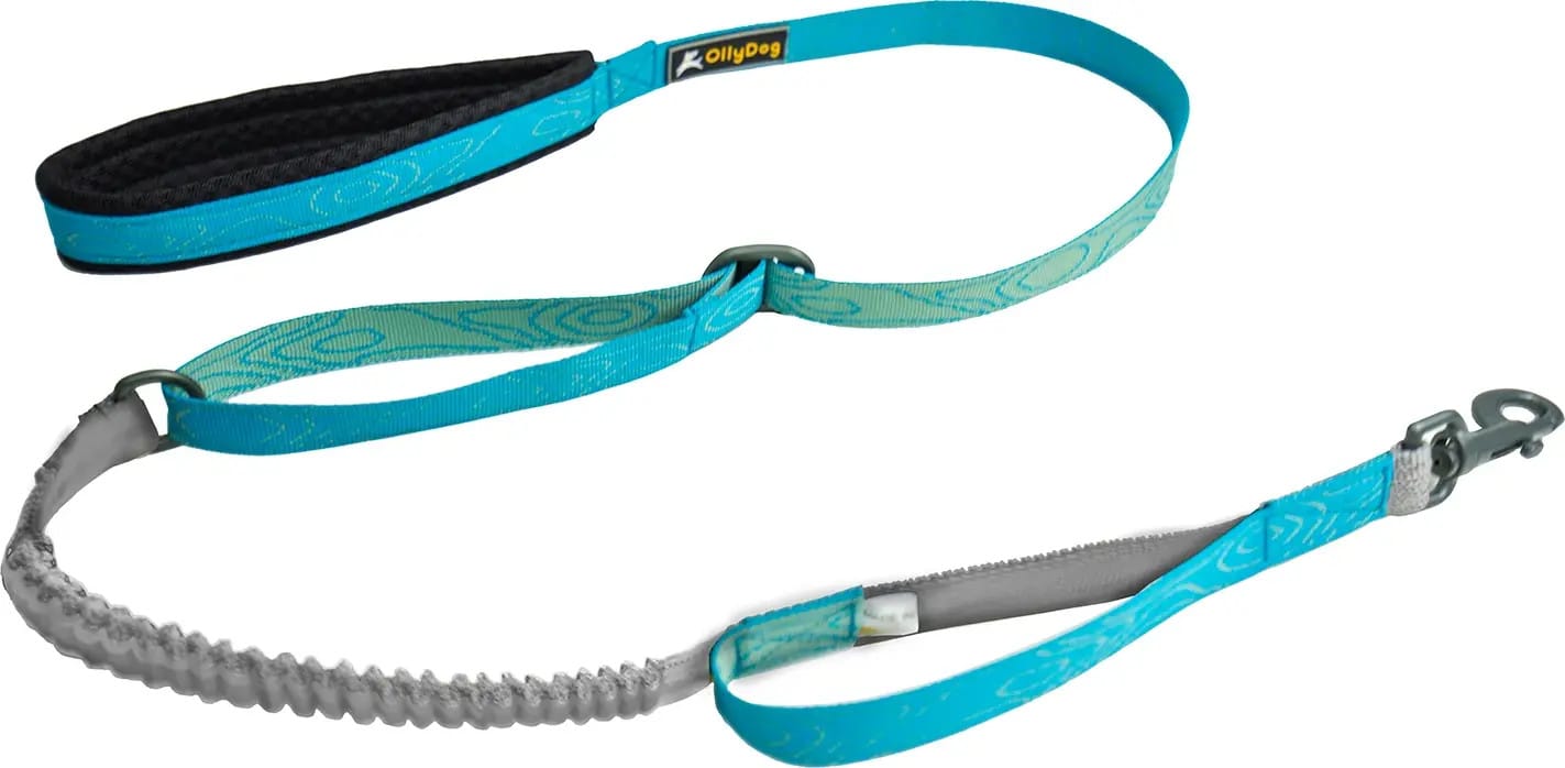 OllyDog Flagstaff Adjustable Spring Leash Sky Bark