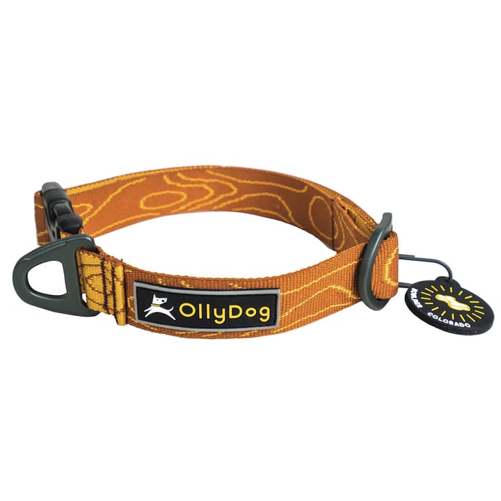 Flagstaff Collar Blaze Bark OllyDog