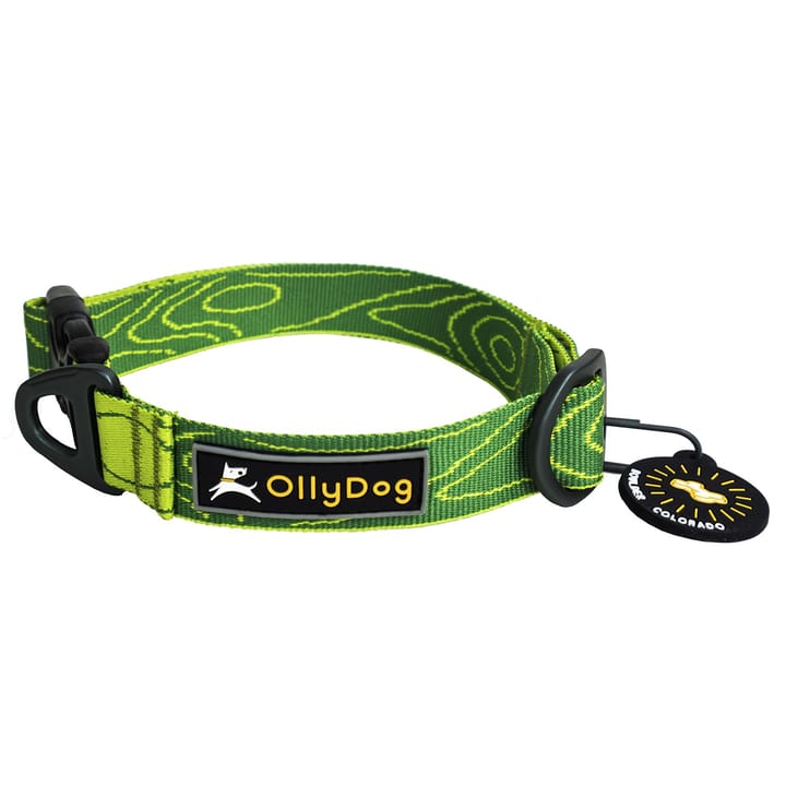 OllyDog Flagstaff Collar  Sage Bark OllyDog