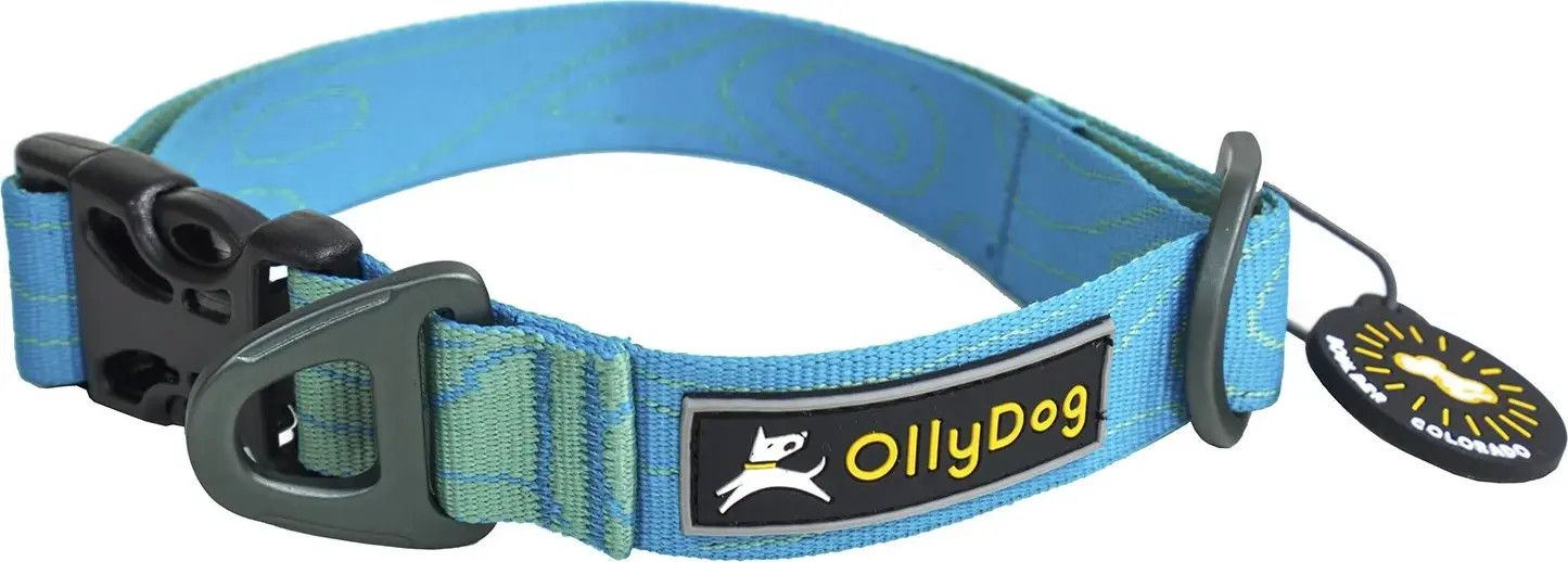 OllyDog Flagstaff Collar Sky Bark