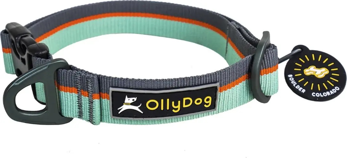 OllyDog Flagstaff Collar Surf