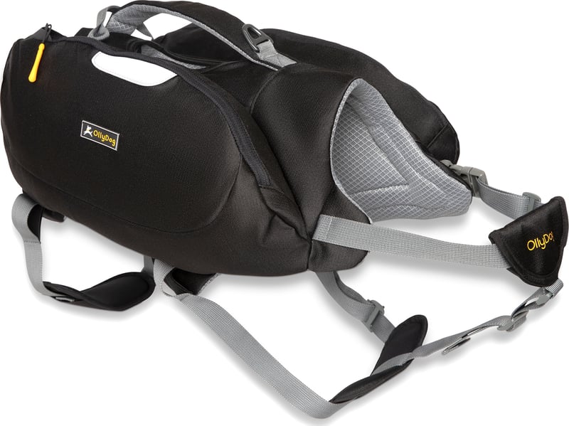 OllyDog Rover Dog Pack Raven | Buy OllyDog Rover Dog Pack Raven here |  Outnorth
