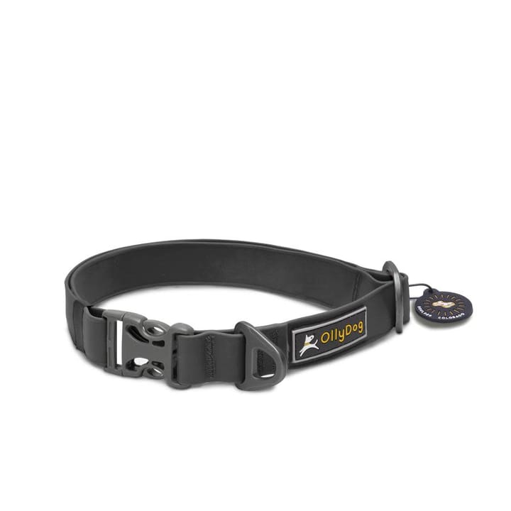 OllyDog Tilden Collar Black OllyDog