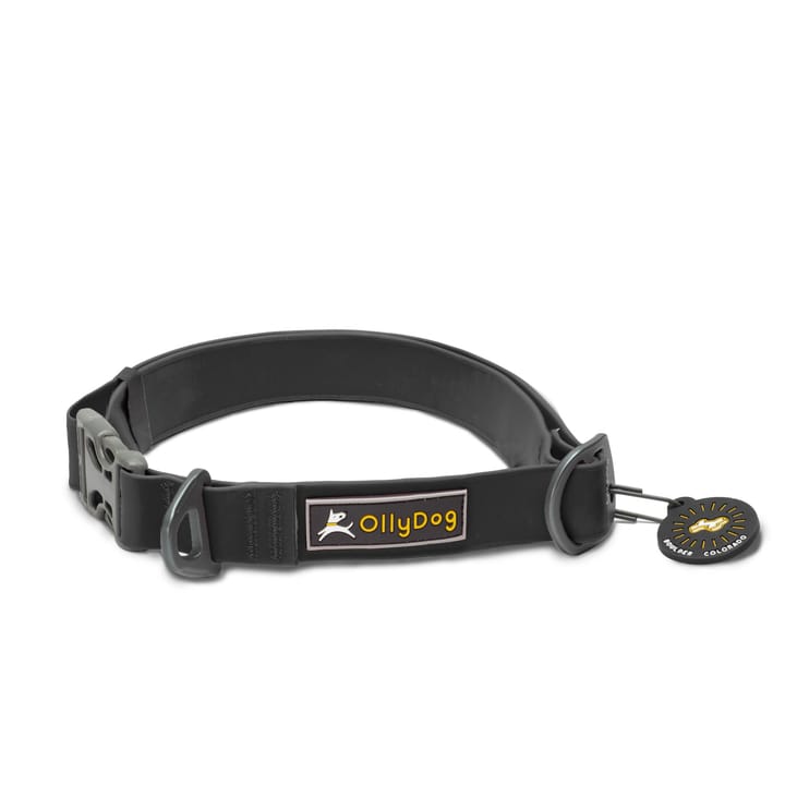 OllyDog Tilden Collar Black OllyDog