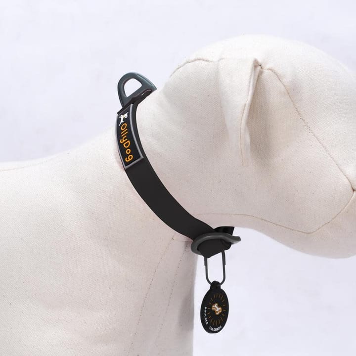 OllyDog Tilden Collar Black OllyDog