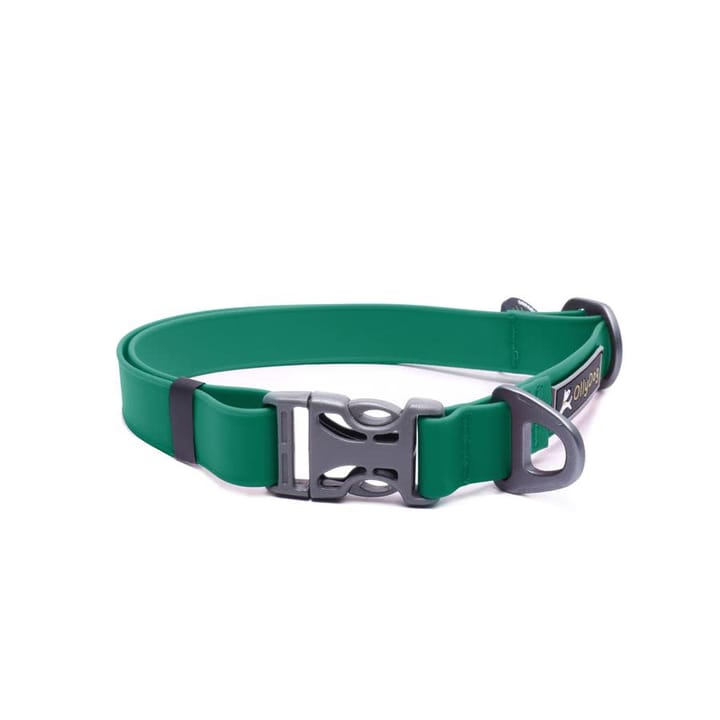 OllyDog Tilden Collar Teal OllyDog