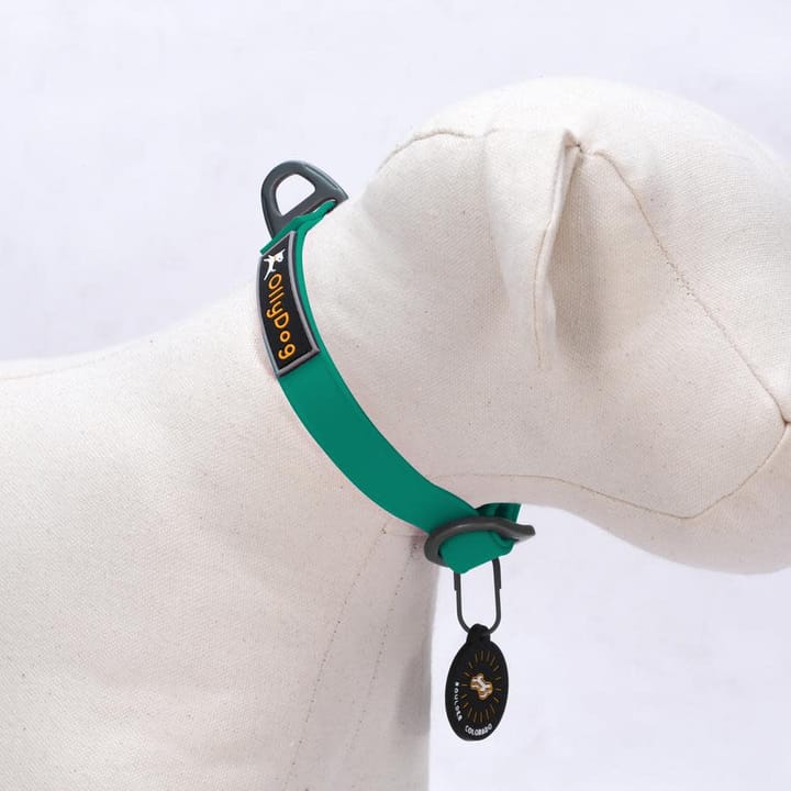 OllyDog Tilden Collar Teal OllyDog