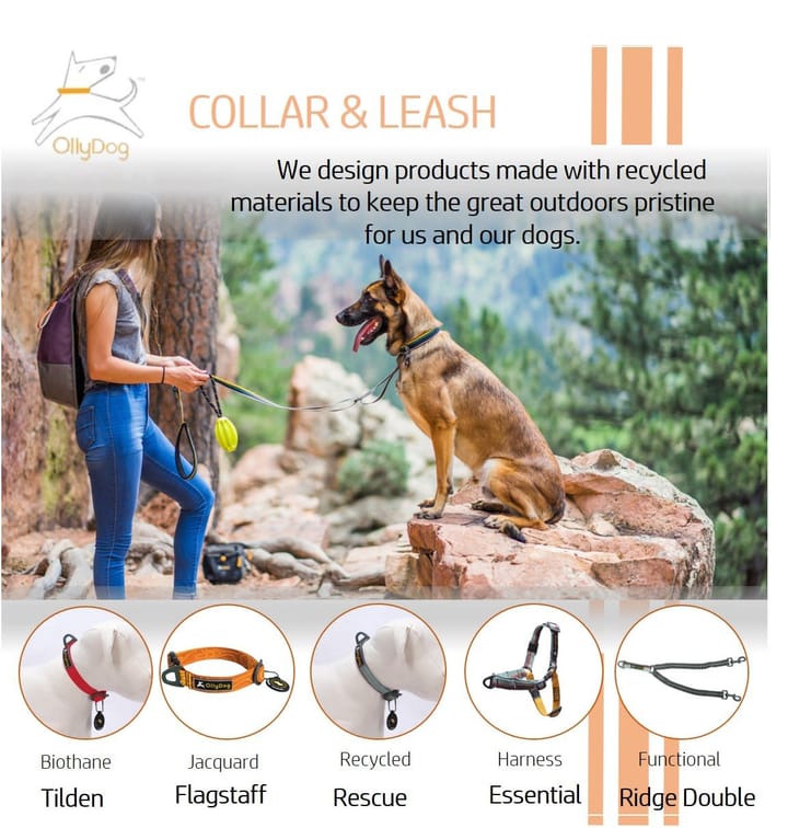 OllyDog Tilden Leash Teal OllyDog