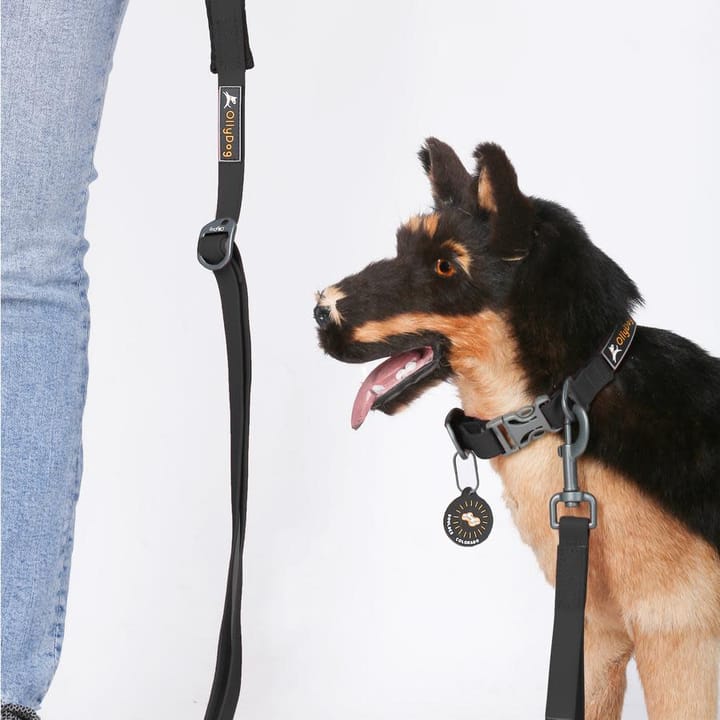 OllyDog Tilden Leash Black OllyDog OllyDog Tilden Leash Black OllyDog
