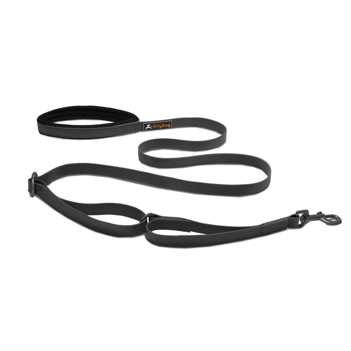 OllyDog Tilden Leash Black OllyDog OllyDog Tilden Leash Black OllyDog