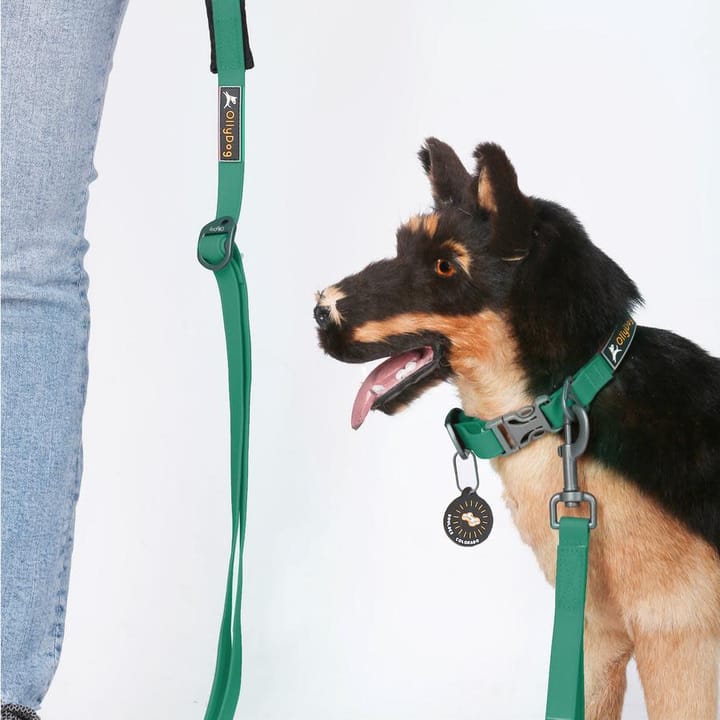 OllyDog Tilden Leash Teal OllyDog