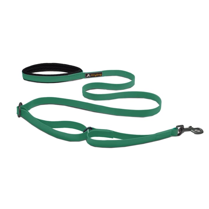 OllyDog Tilden Leash Teal OllyDog