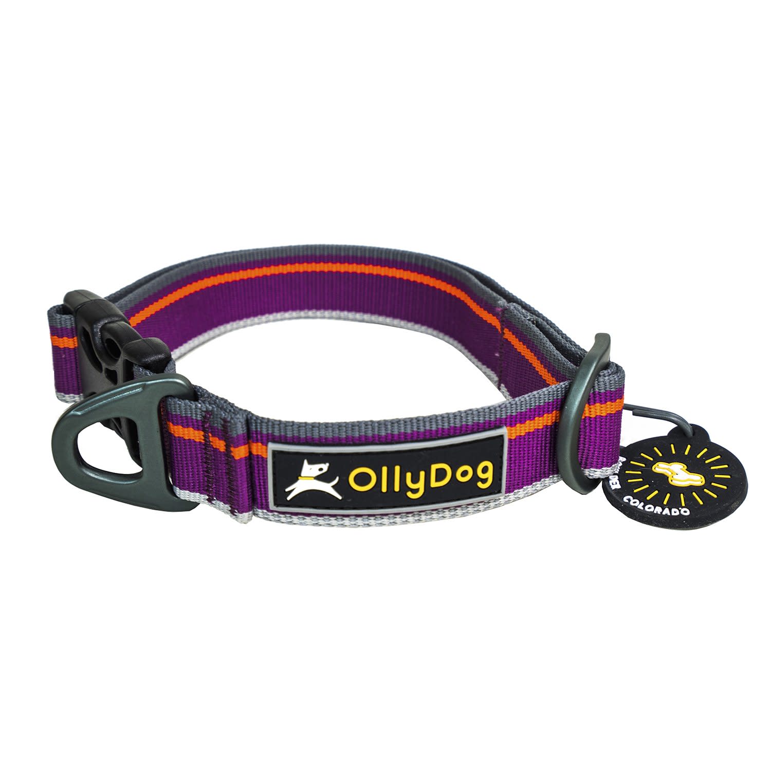 OllyDog Urban Trail Reflective Collar Wild Aster