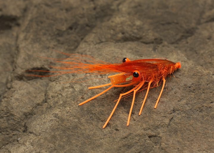Easy Shrimp Eyes Legs 2.0 Easy Shrimp Eyes