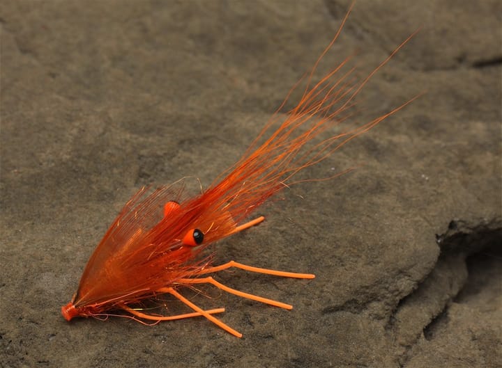 Easy Shrimp Eyes Legs 2.0 Easy Shrimp Eyes