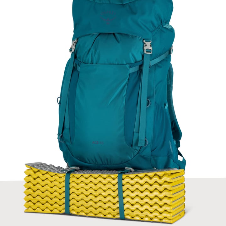 Osprey Kids' Ace 50 Blue Spikemoss/Deep Peyto Osprey