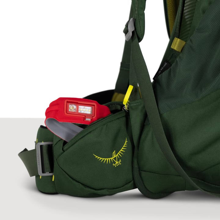 Osprey Kids' Ace 50 Green Canopy/Matcha Green Osprey