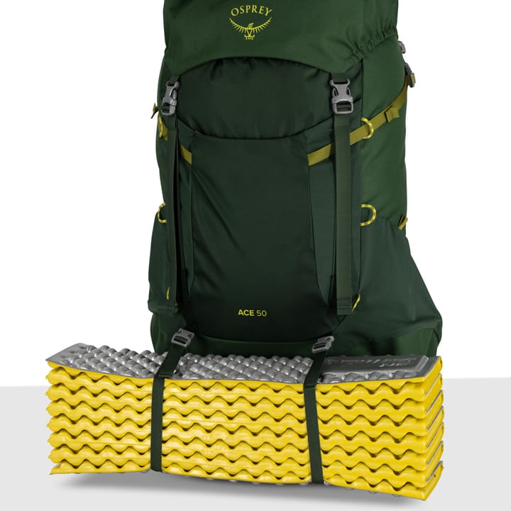Osprey Kids' Ace 50 Green Canopy/Matcha Green Osprey Osprey Kids' Ace 50 Green Canopy/Matcha Green Osprey