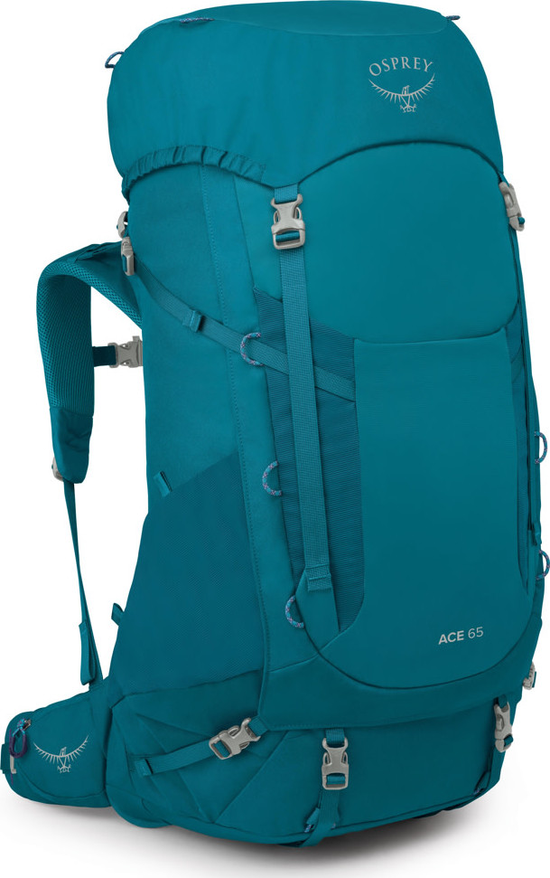 Blue spikemoss/deep peyto 2