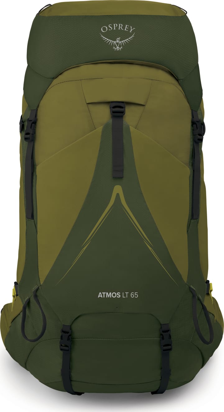 Men's Atmos AG LT 65 Scenic Valley/Green Peppercorn Osprey