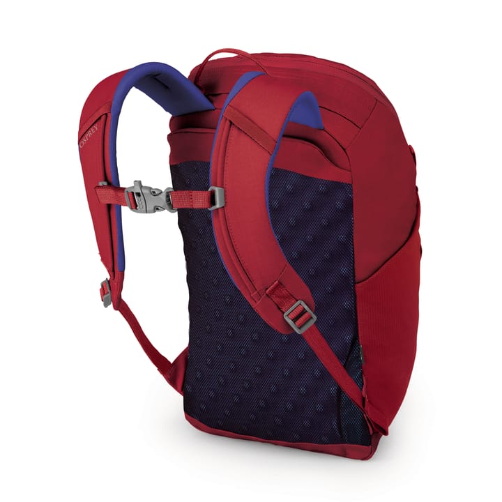 Jet 12 Cosmic Red Osprey