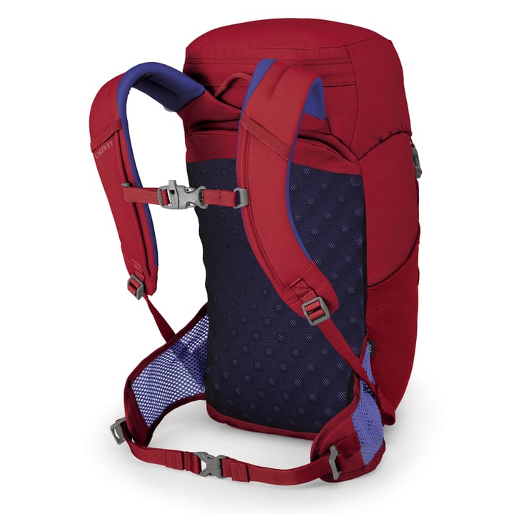 Jet 18 Cosmic Red Osprey