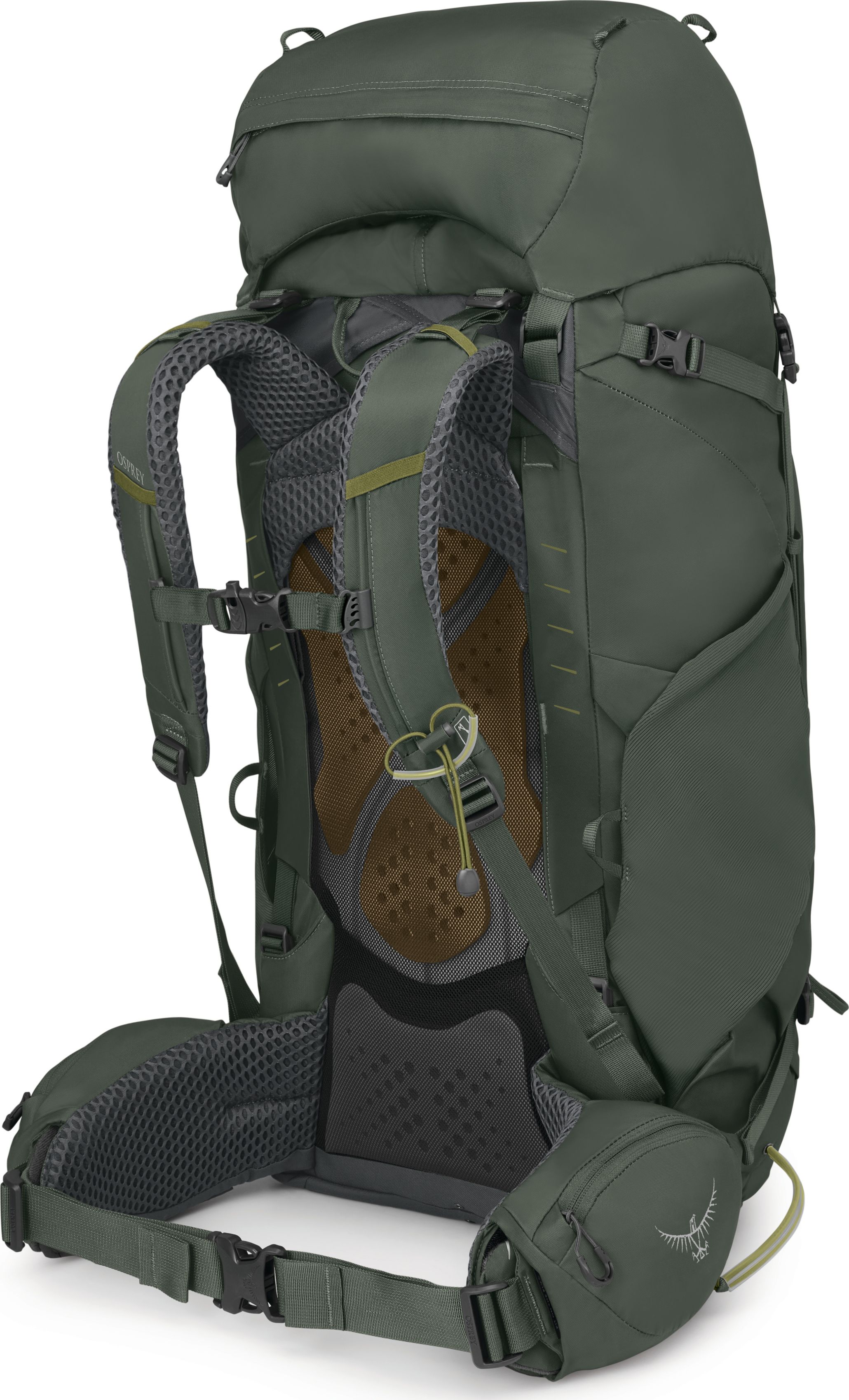 Osprey Men's Kestrel 58 Bonsai Green | Buy Osprey Men's Kestrel 58
