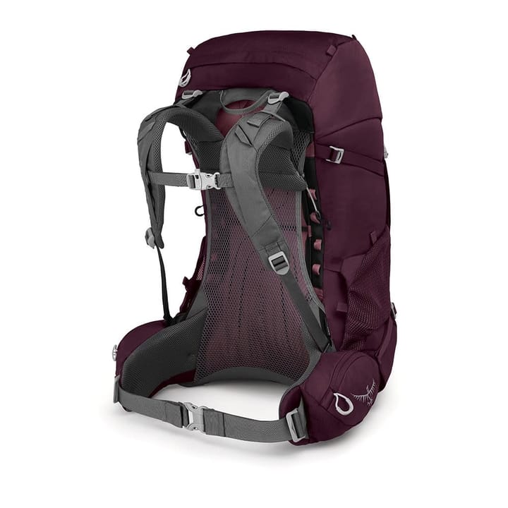 Osprey Renn 50 Aurora Purple Osprey Osprey Renn 50 Aurora Purple Osprey