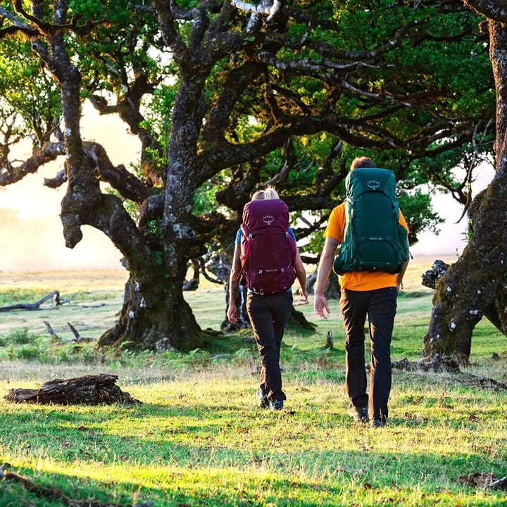 Osprey Renn 50 Aurora Purple Osprey Osprey Renn 50 Aurora Purple Osprey