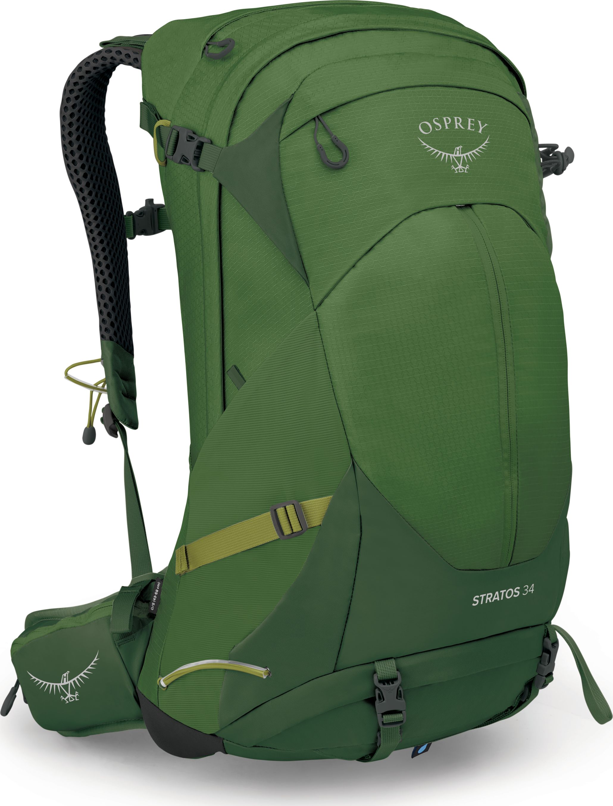 Buy Osprey Stratos 34 Seaweed/Matcha Green here Outnorth