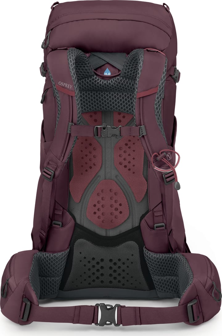 Osprey Women's Kyte 38 Elderberry Purple Osprey Osprey Women's Kyte 38 Elderberry Purple Osprey