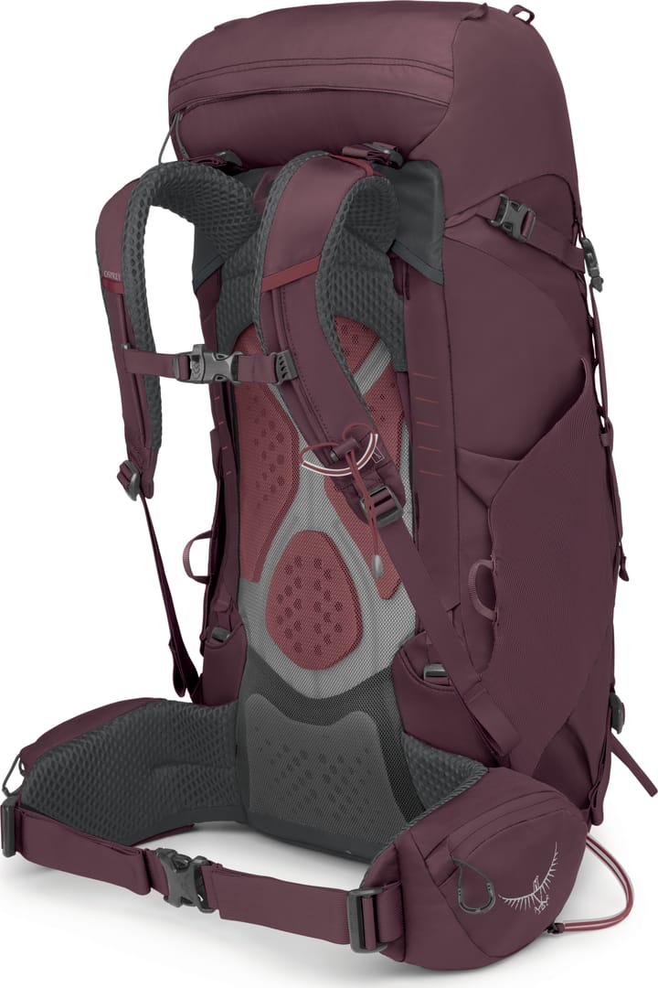 Osprey Women's Kyte 38 Elderberry Purple Osprey