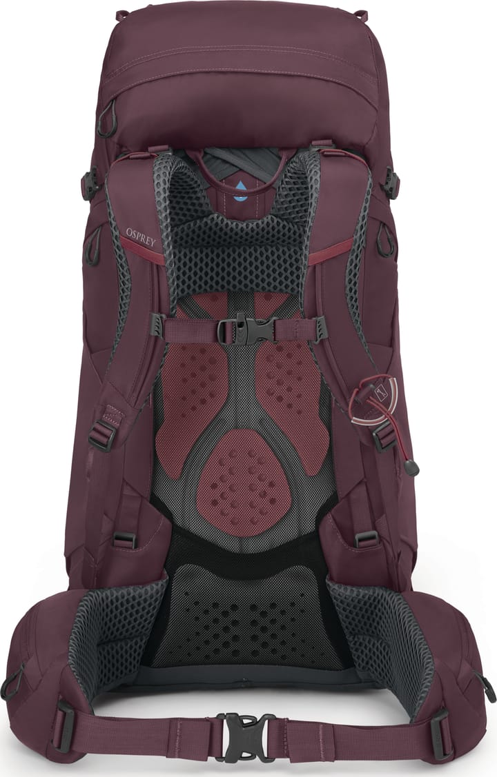 Osprey Women's Kyte 48 Elderberry Purple Osprey Osprey Women's Kyte 48 Elderberry Purple Osprey