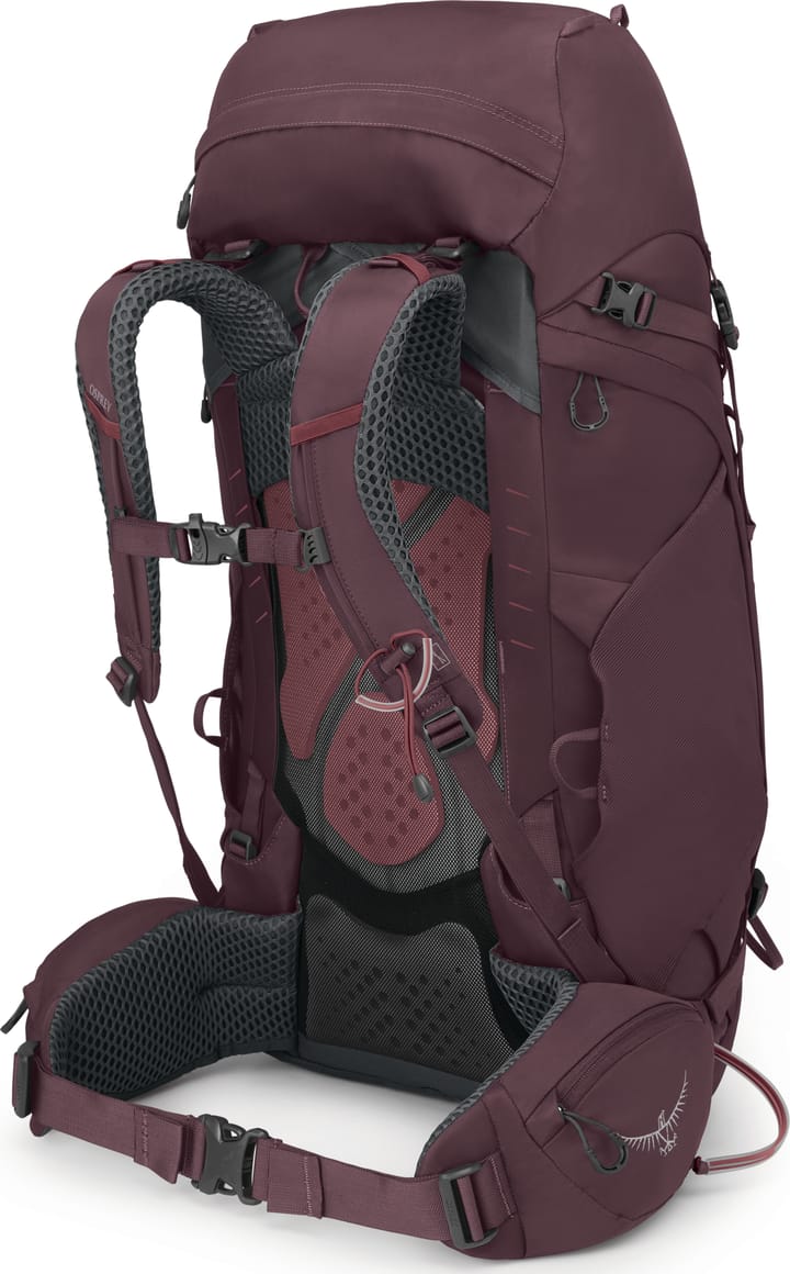 Osprey Women's Kyte 48 Elderberry Purple Osprey Osprey Women's Kyte 48 Elderberry Purple Osprey