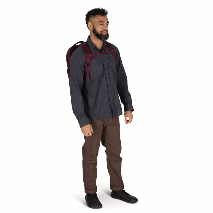 Osprey Ozone Laptop Backpack Moody Burgundy Osprey