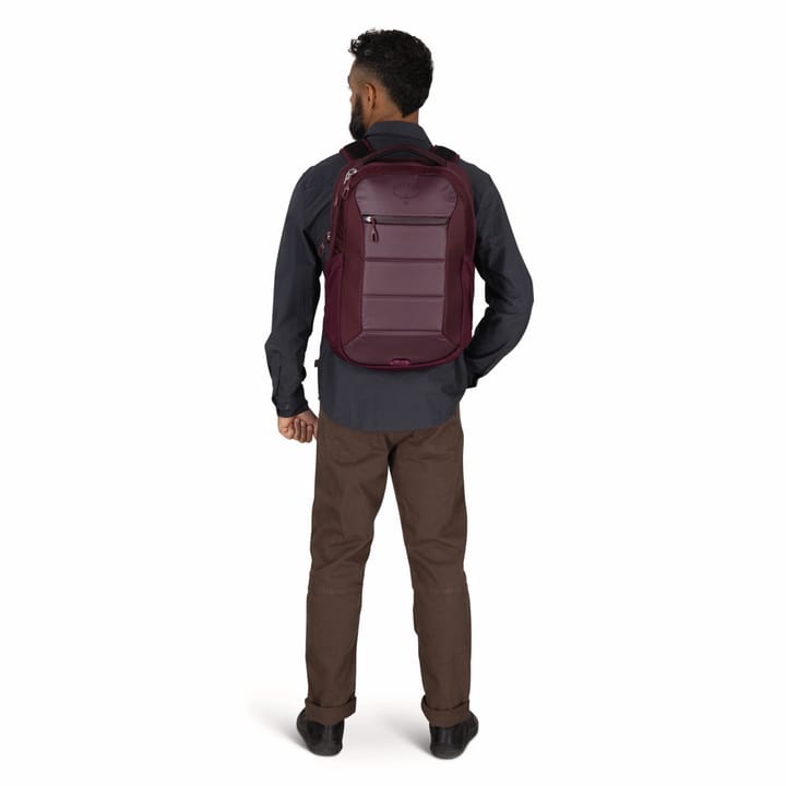 Osprey Ozone Laptop Backpack Moody Burgundy Osprey