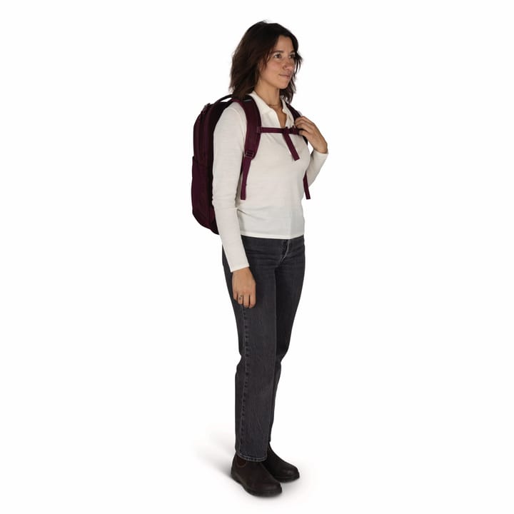 Osprey Ozone Laptop Backpack Moody Burgundy Osprey