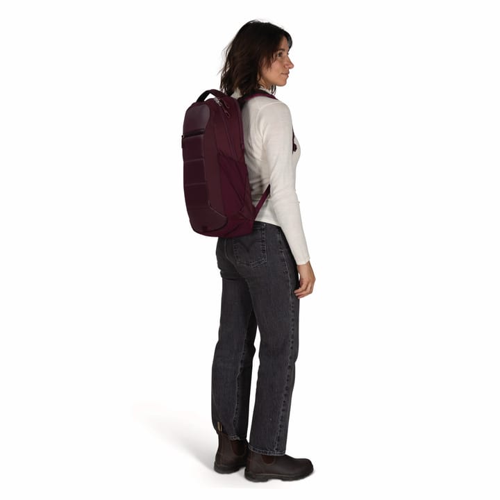 Osprey Ozone Laptop Backpack Moody Burgundy Osprey