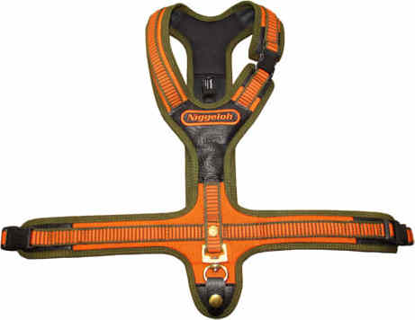 NIggeloh Follow Harness Blood Tracker Orange NIggeloh