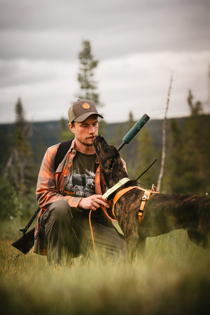 Pinewood Men's Moose T-Shirt H.Brown Pinewood