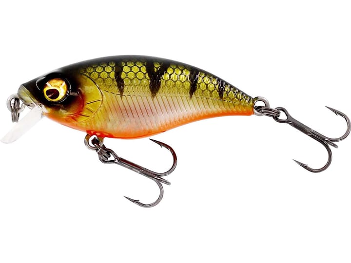 Westin Westin Buzzbite Sr Crankbait Westin Westin Westin Buzzbite Sr Crankbait Westin