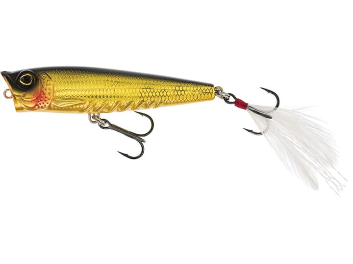 Westin Spot-On Popper Westin