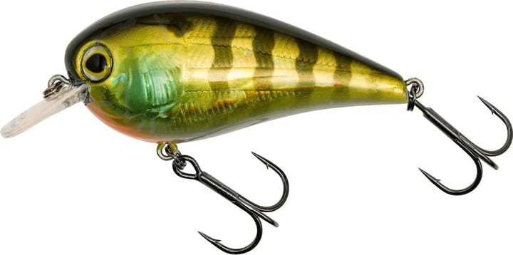 Westin Gift Box Luc Coppens Favorites Westin