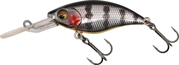 Westin Gift Box Radek Filips Favorites Westin