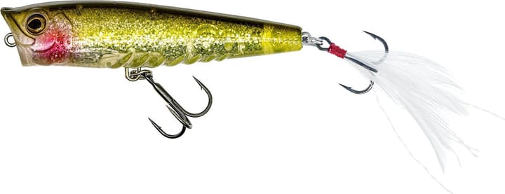 Westin Gift Box Radek Filips Favorites Westin