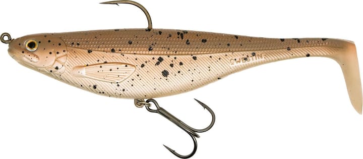 Westin Gift Box Radek Filips Favorites Westin